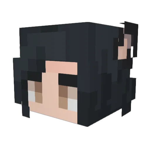 Wifelss Minecraft avatar head, 3D render
