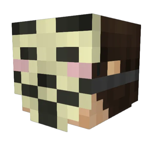 Wiffly Minecraft avatar head, 3D render