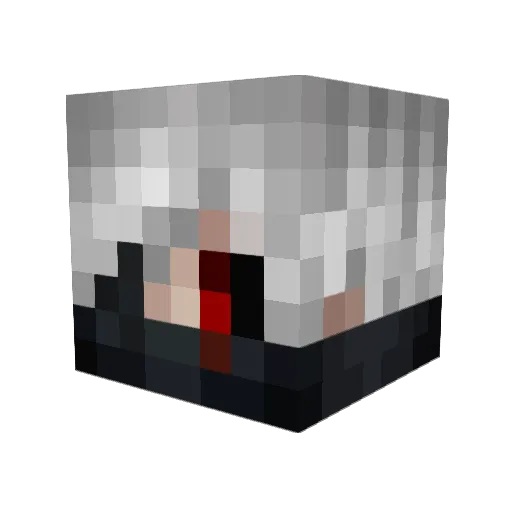 WifiPrims Minecraft avatar head, 3D render