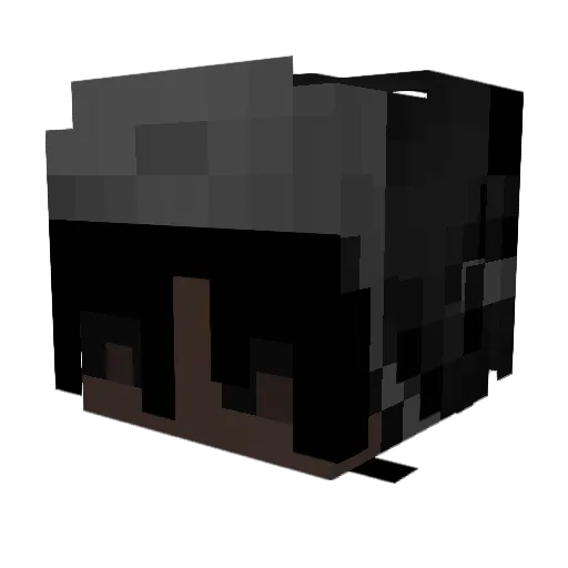 WifiTM Minecraft avatar head, 3D render