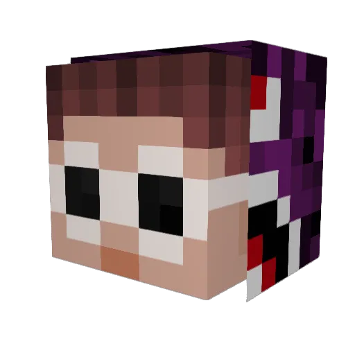 Wifi_Cart Minecraft avatar head, 3D render