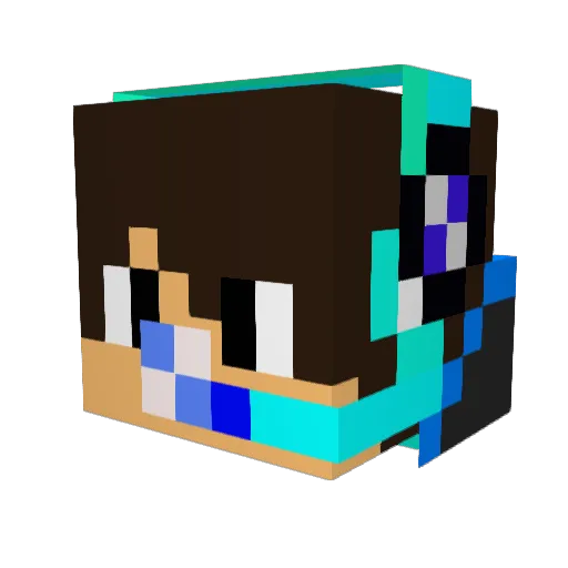 Wifi_donut Minecraft avatar head, 3D render