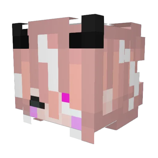 Wifiskeletone Minecraft avatar head, 3D render
