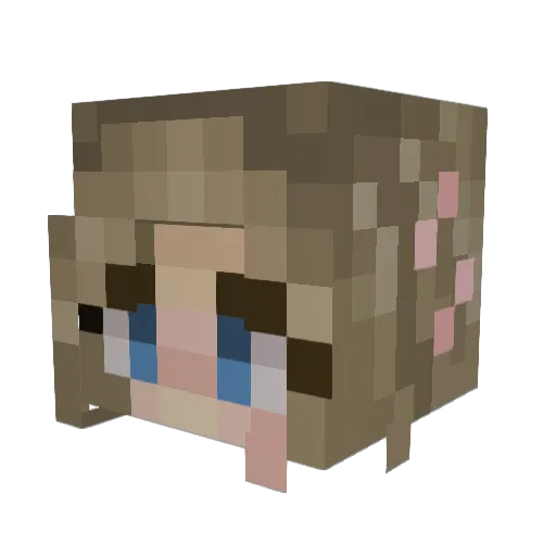 WiggittySwiggity Minecraft avatar head, 3D render