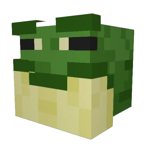 WigglyAuthor457 Minecraft avatar head, 3D render
