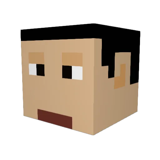 WigglyNoodle Minecraft avatar head, 3D render