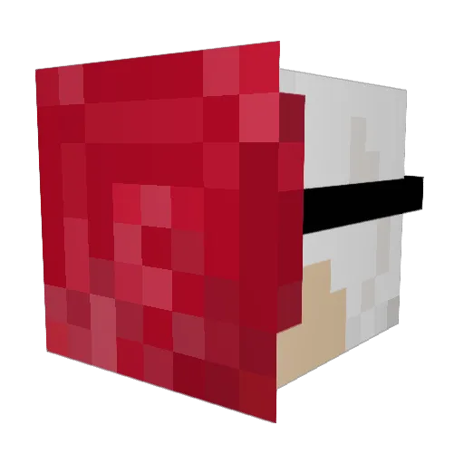WightCob Minecraft avatar head, 3D render