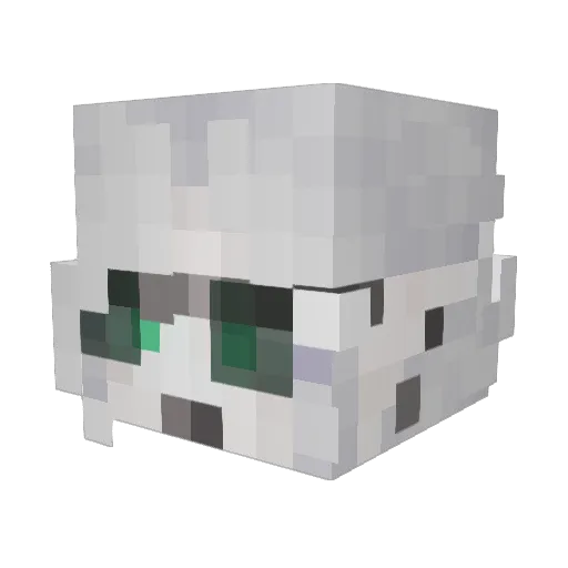 WightTrash Minecraft avatar head, 3D render