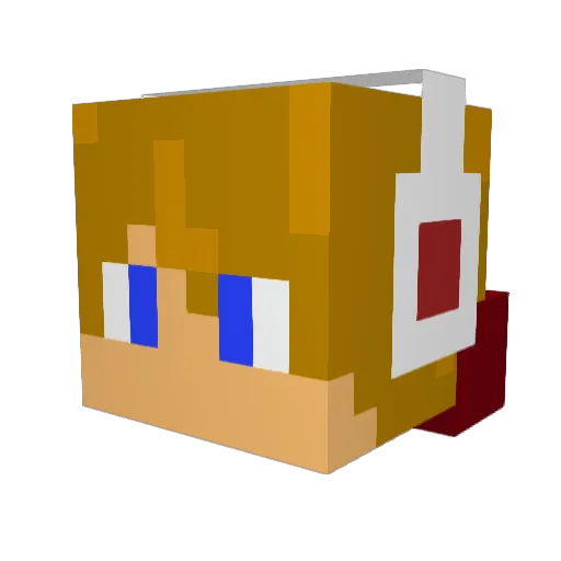 Wightiger Minecraft avatar head, 3D render