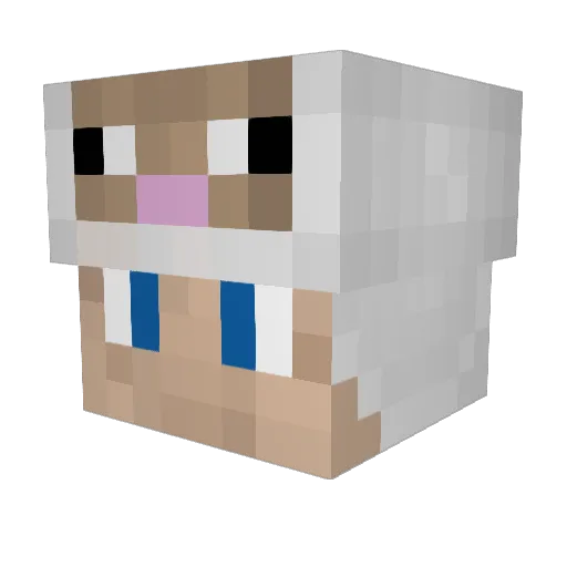 WigleFlitz Minecraft avatar head, 3D render