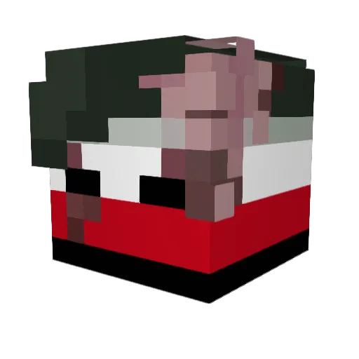 Wignatio Minecraft avatar head, 3D render