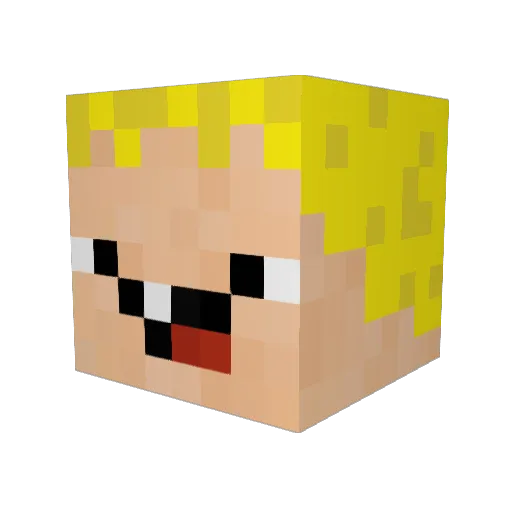 Wigren Minecraft avatar head, 3D render