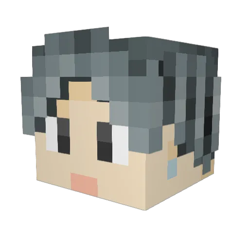 Wihe_gust Minecraft avatar head, 3D render