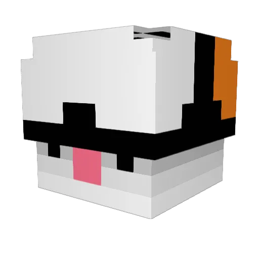 WiiChallenger Minecraft avatar head, 3D render