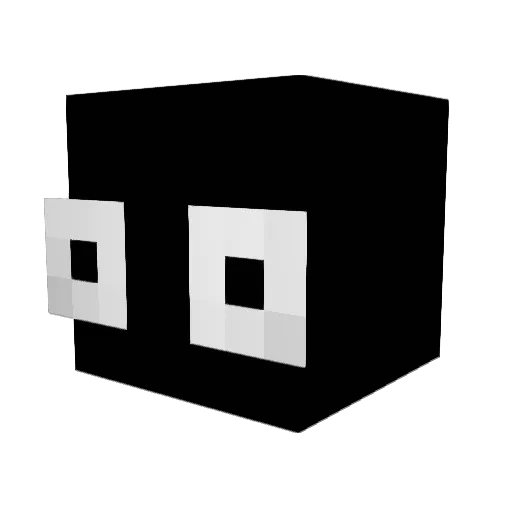 WiiDox Minecraft avatar head, 3D render