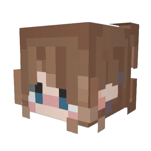 Wii_BalanceBoard Minecraft avatar head, 3D render