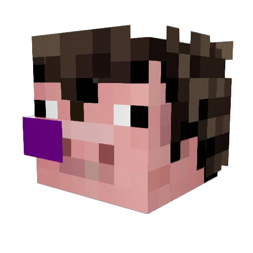 Wiiiimpy Minecraft avatar head, 3D render
