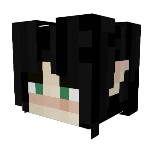 Wiiken Minecraft avatar head, 3D render
