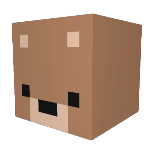 Wiikxa Minecraft avatar head, 3D render