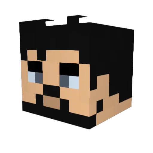 Wiil_ex Minecraft avatar head, 3D render