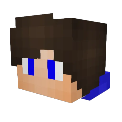 Wiildann Minecraft avatar head, 3D render
