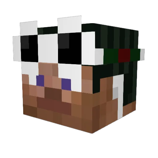 Wiildd Minecraft avatar head, 3D render
