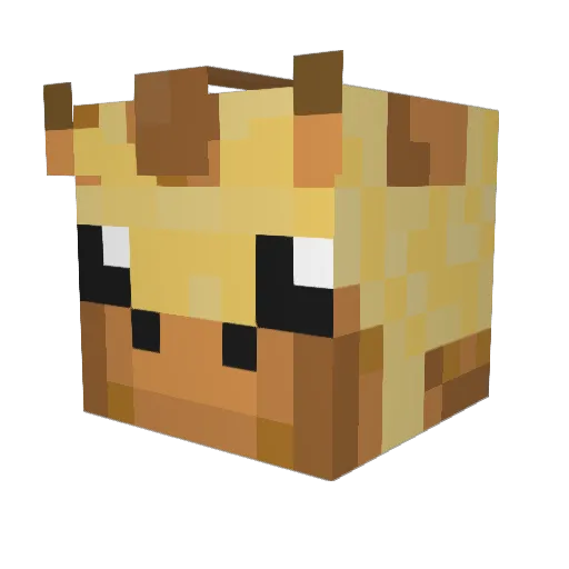 Wiilmiis02 Minecraft avatar head, 3D render