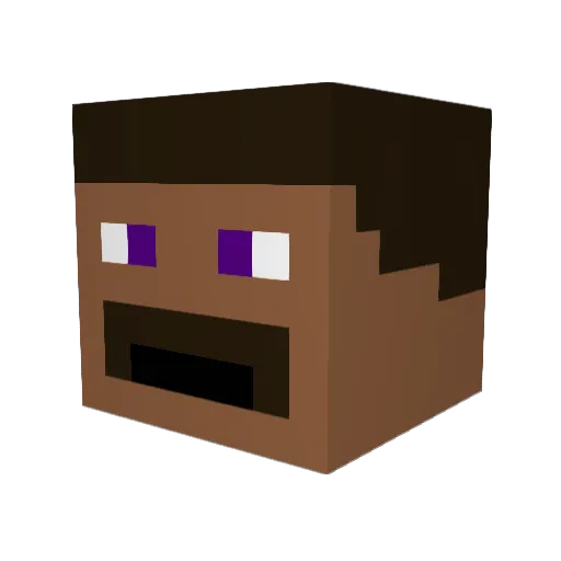Wiime10101 Minecraft avatar head, 3D render