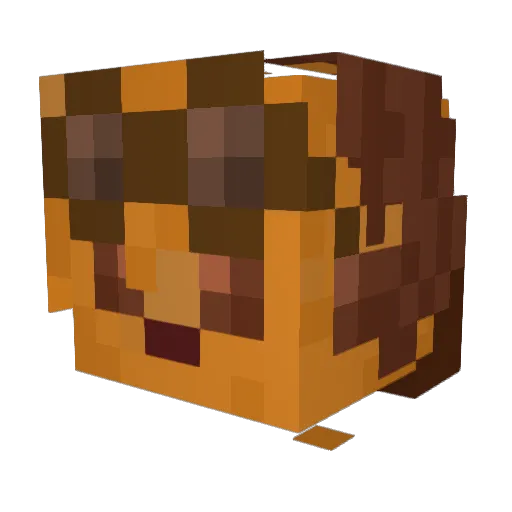 WiishfulThinking Minecraft avatar head, 3D render