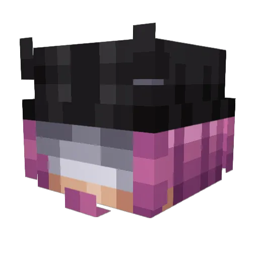 Wiitther Minecraft avatar head, 3D render