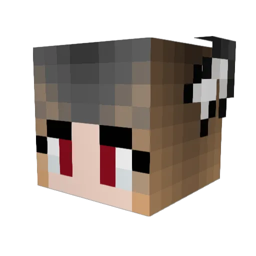 Wiivern Minecraft avatar head, 3D render