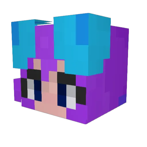 Wiivtsu Minecraft avatar head, 3D render