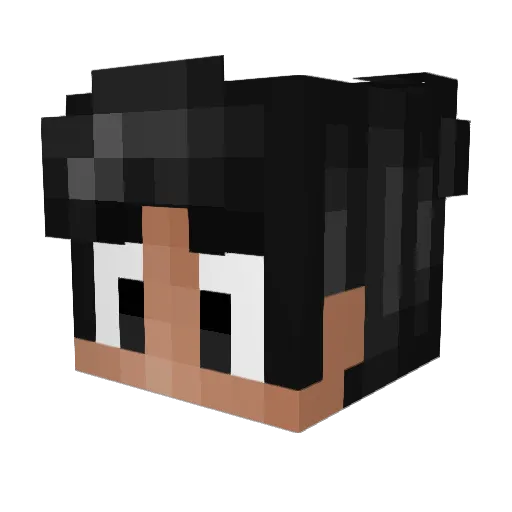 WikiNation Minecraft avatar head, 3D render