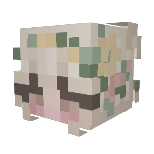 WikiXoxoo Minecraft avatar head, 3D render