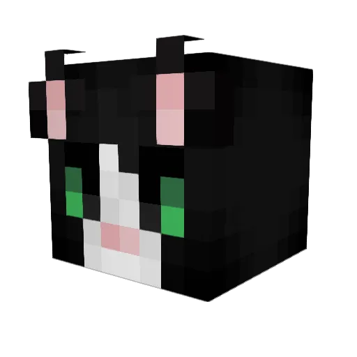 Wikicraft05 Minecraft avatar head, 3D render