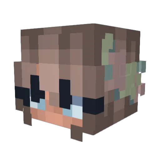 Wikiing Minecraft avatar head, 3D render