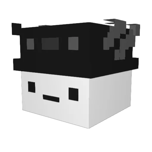 WikisSsZ Minecraft avatar head, 3D render