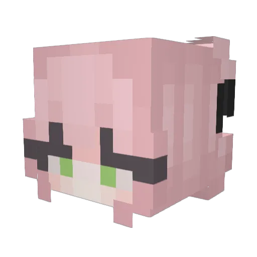 Wikis_Bonka Minecraft avatar head, 3D render