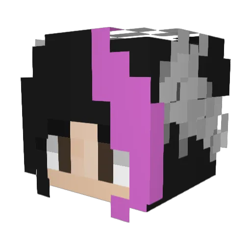 Wikly_r Minecraft avatar head, 3D render