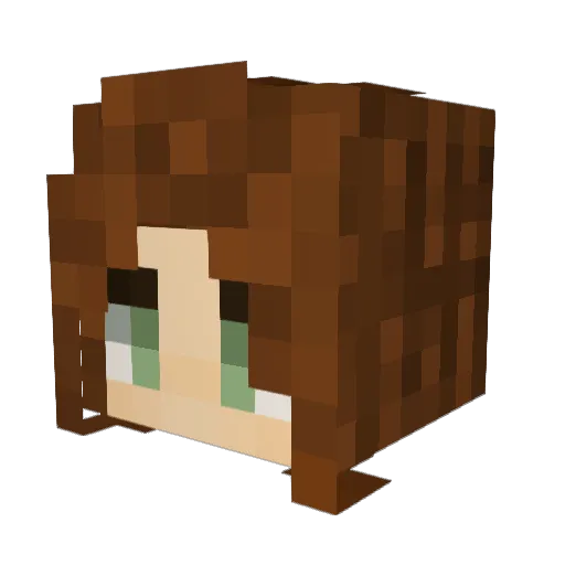 Wikoli Minecraft avatar head, 3D render
