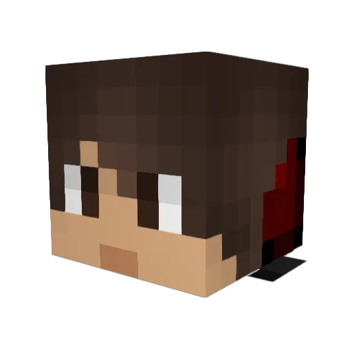 Wikoya Minecraft avatar head, 3D render
