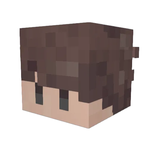 WikproWito Minecraft avatar head, 3D render