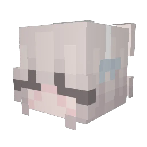 Wiks0nnn Minecraft avatar head, 3D render