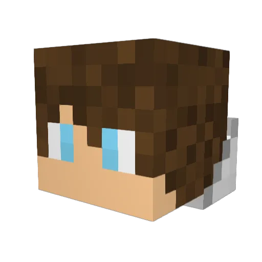 Wikt61 Minecraft avatar head, 3D render