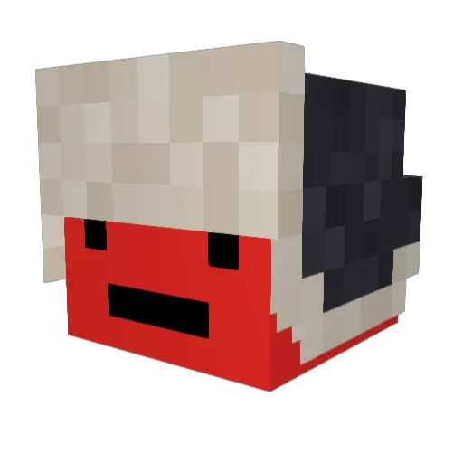 Wiktor076 Minecraft avatar head, 3D render