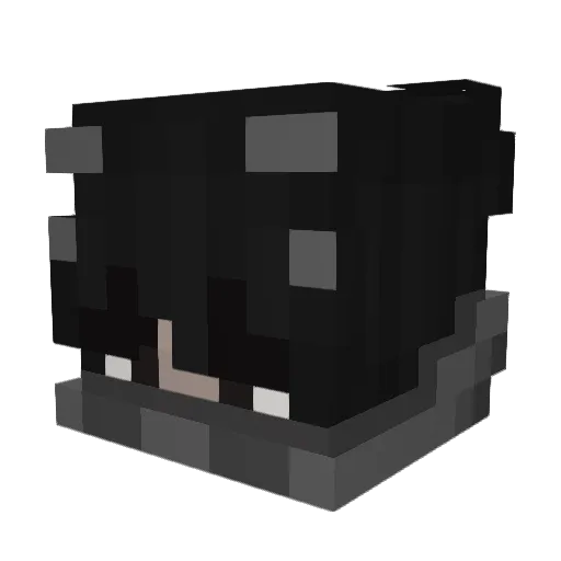 Wiktor193 Minecraft avatar head, 3D render