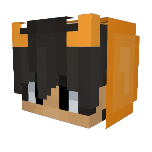 WiktorEf Minecraft avatar head, 3D render