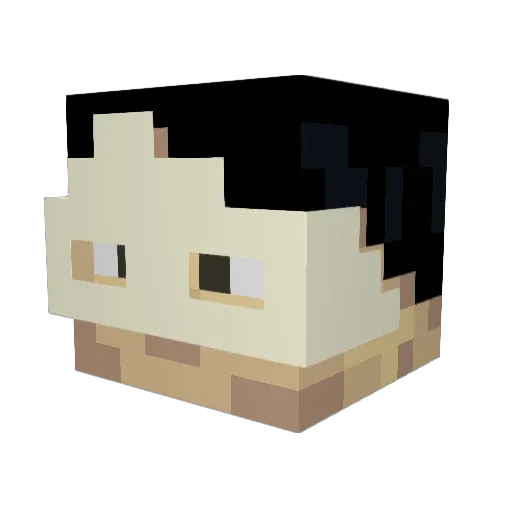 WiktoreX7 Minecraft avatar head, 3D render