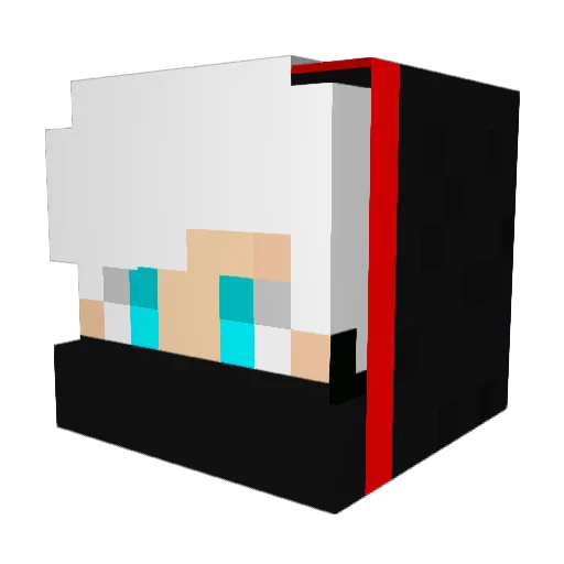 Wiktoreq014 Minecraft avatar head, 3D render
