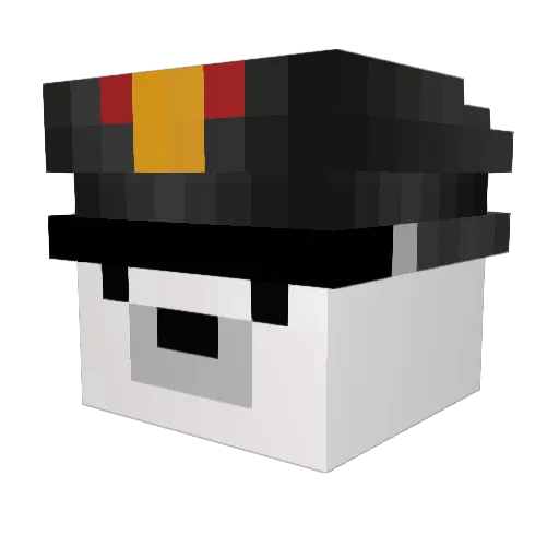 Wiktorex12345 Minecraft avatar head, 3D render